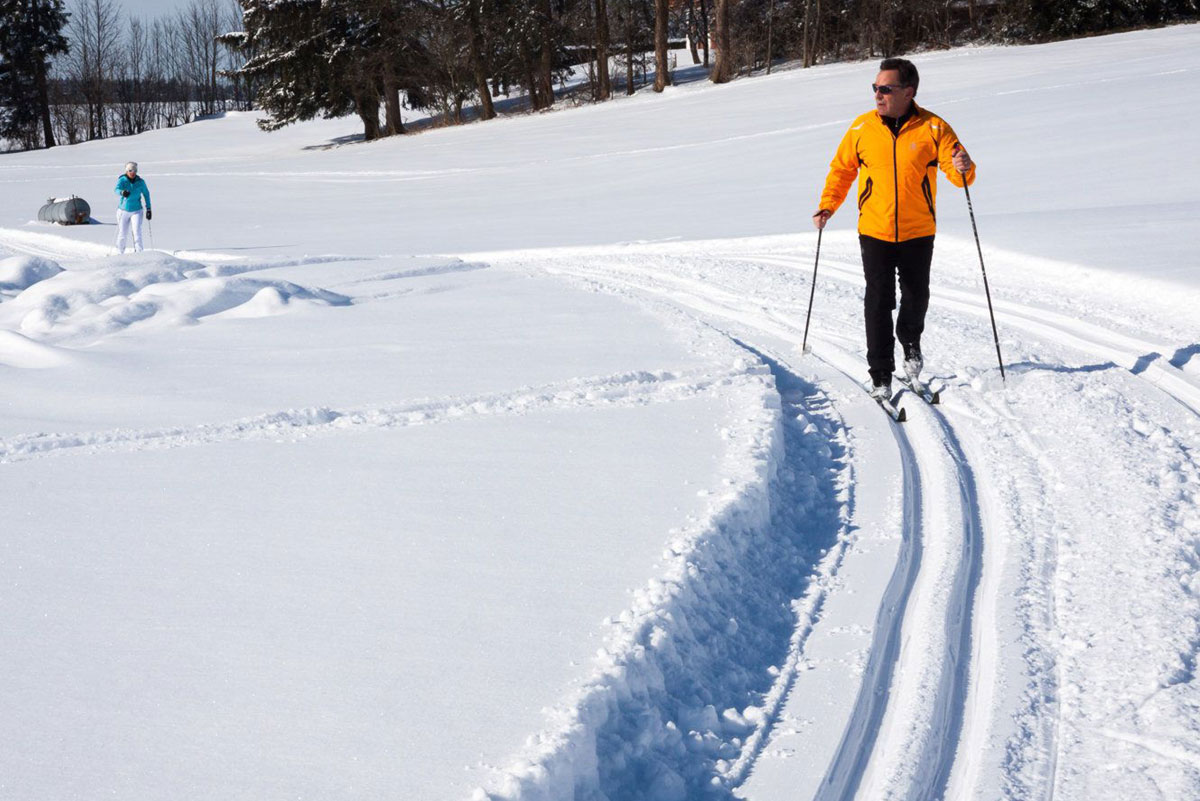 Appartamenti Vacanze - Bilocali - Le Plajedi Cavalese - Val di Fiemme - Trentino